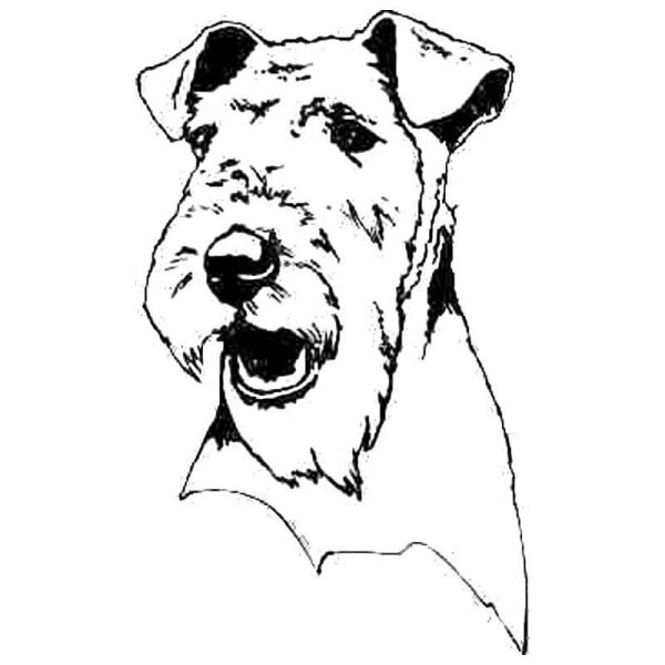 Эрдельтерьер вектор