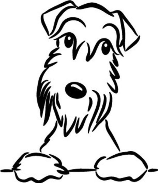 Наклейка Миттельшнауцер