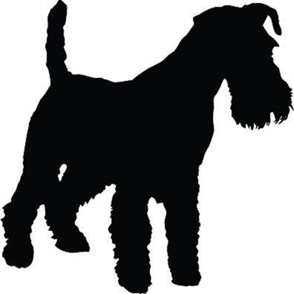 Цвергшнауцер силуэт