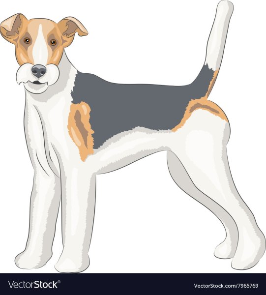 Фокстерьер вектор