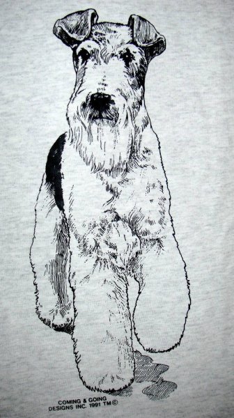 Фокстерьер жесткошерстный рисунок