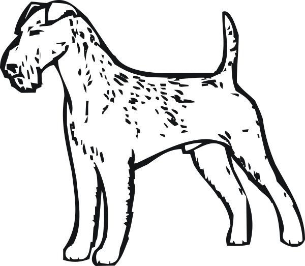 Ирландский терьер вектор