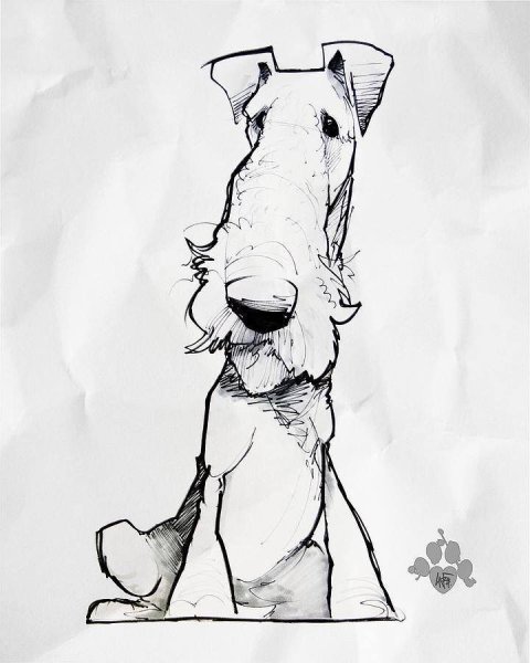 Тату Эрдельтерьер