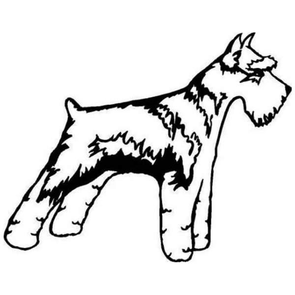 Фокстерьер и Ризеншнауцер