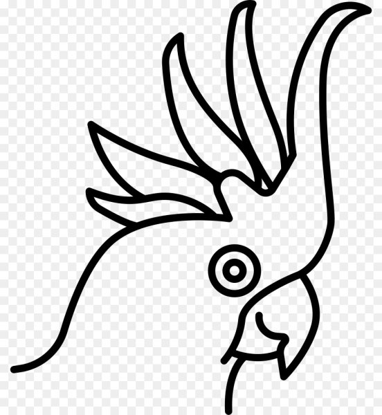 Попугая знак