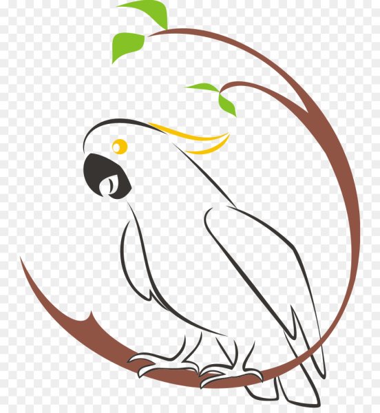 Логотип попугай