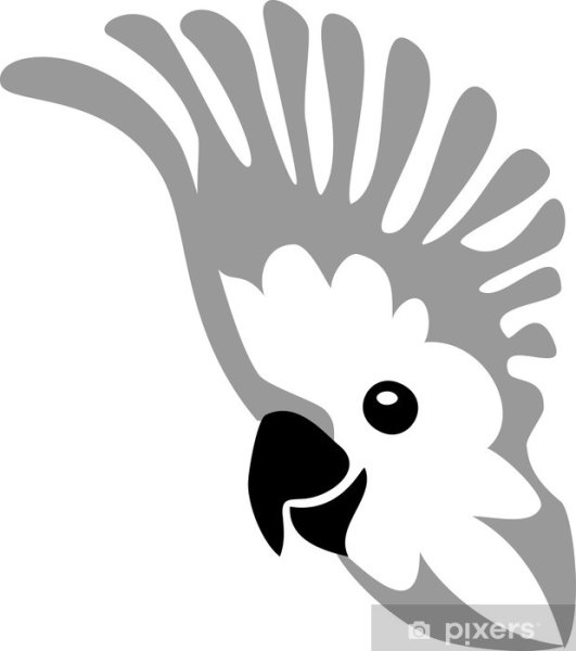 Какаду лого