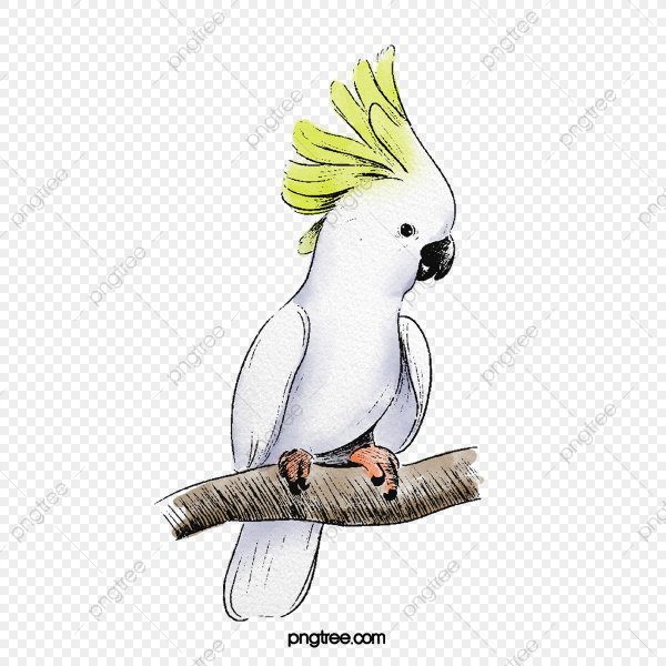 Какаду мультяшный