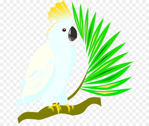 Какаду мультяшные