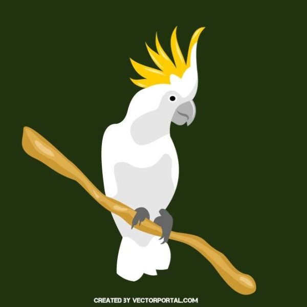 Какаду мультяшный