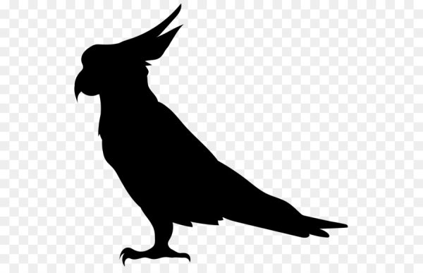 Силуэты животных и птиц