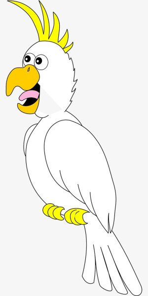 Смешной рисованный Какаду