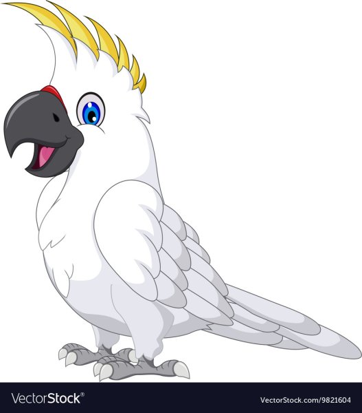 Какаду мультяшный