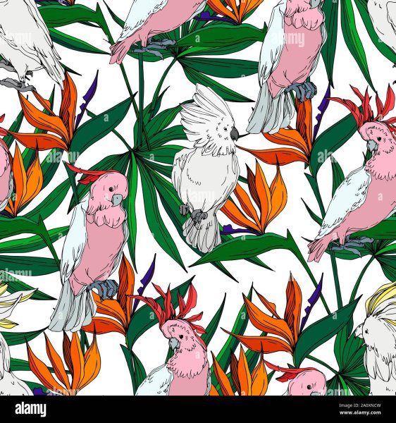 Какаду в кустах арт