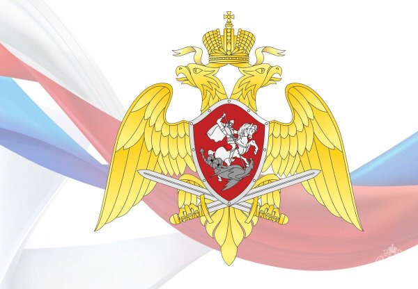 Орел войск национальной гвардии