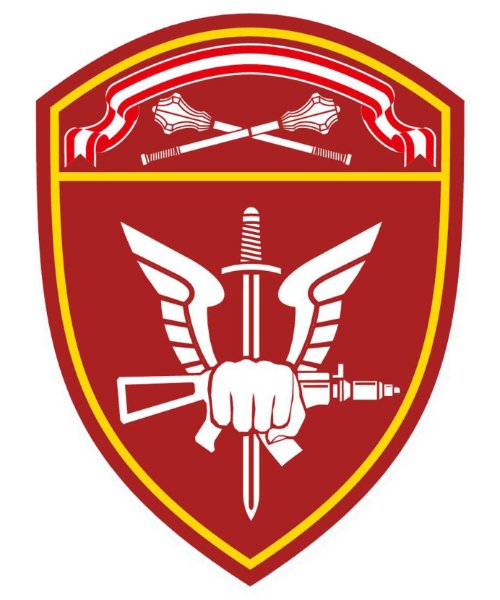 Шевроны СОБР ВНГ