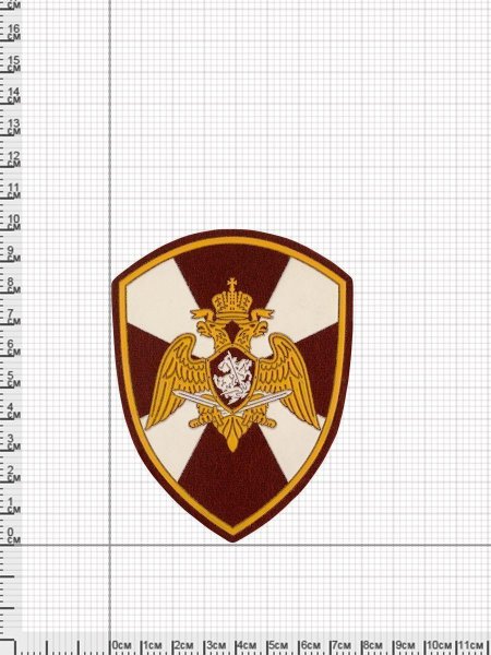 Нашивка ФСВНГ