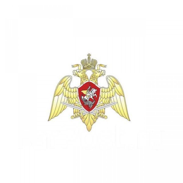 ФС ВНГ РФ эмблема