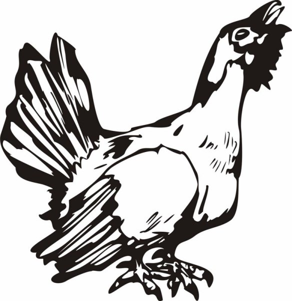 Трафарет тетерева