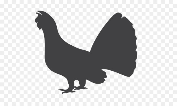 Тетерев силуэт