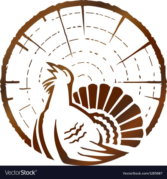 Глухарь контур