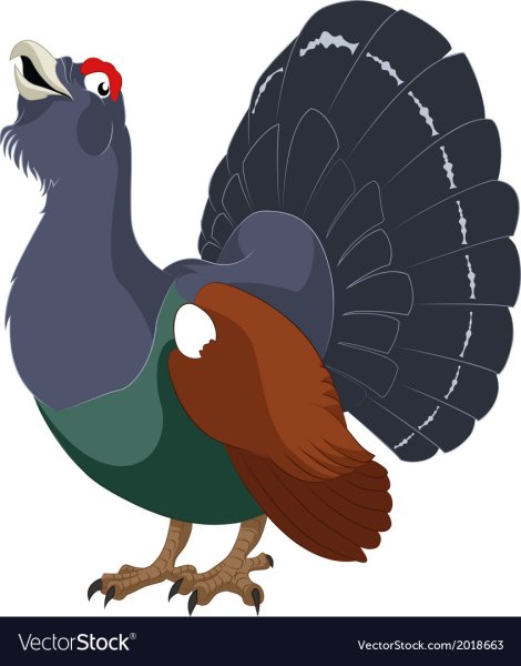 Глухарь мультяшный