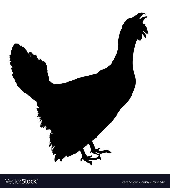 Трафарет тетерева