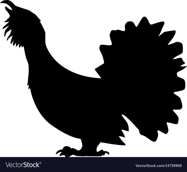 Тетерев силуэт