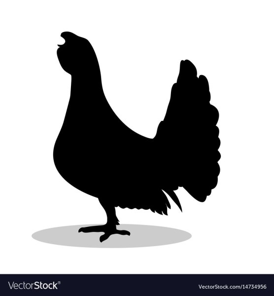 Тетерев силуэт