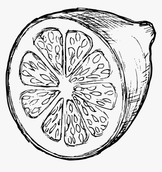 Лимон вектор