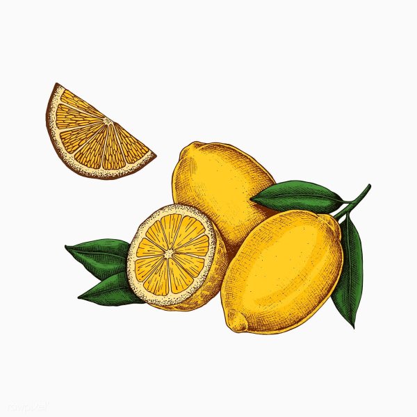 Лимон Графика