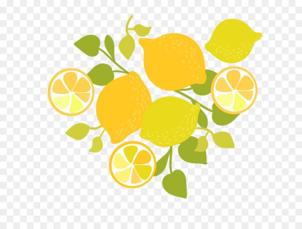 Нарисованный лимон в разрезе