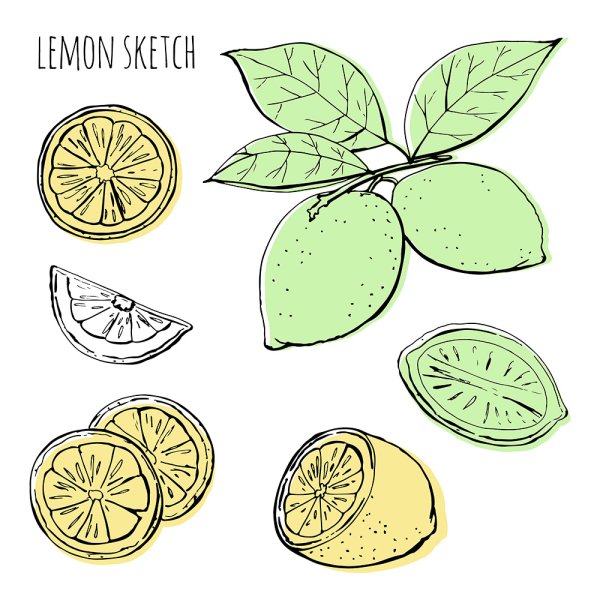 Лимон с листиком