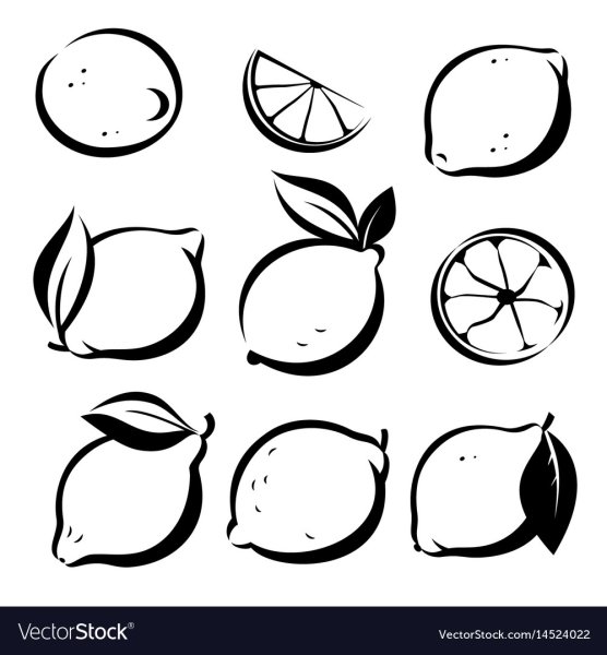 Лимон рисунок вектор