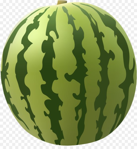 Арбуз иллюстрация