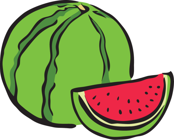 Арбуз вектор
