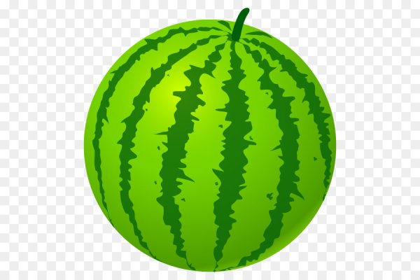 Арбуз вектор