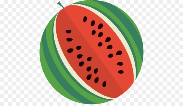 Арбуз вектор