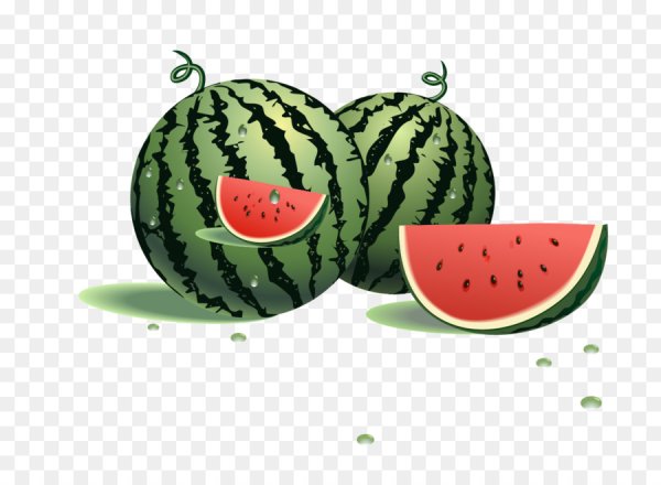 Арбуз рисунок