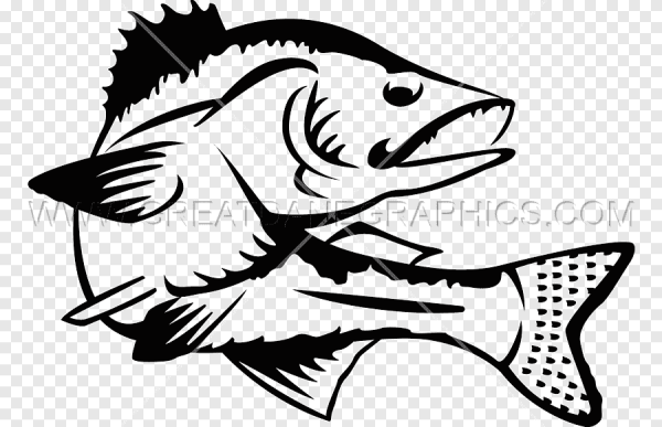 Рыба Судак вектор