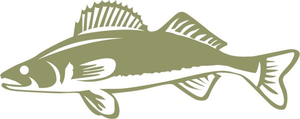 Логотип рыбы Судак