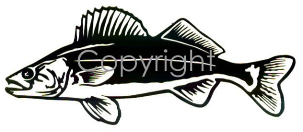 Трафарет судака