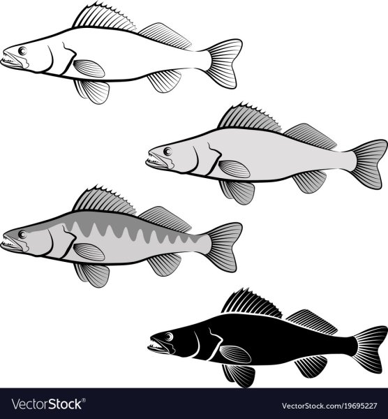 Судак Графика