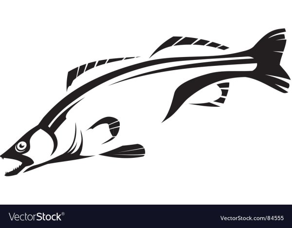 Рыба Судак вектор