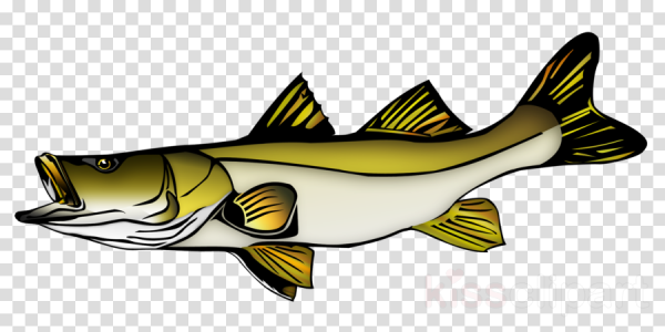 Речная рыба вектор