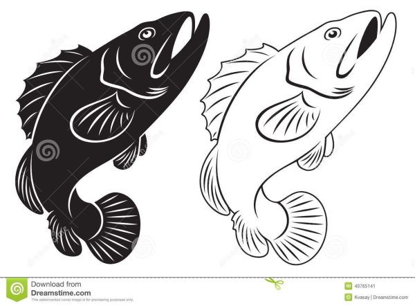 Силуэт Судак рыбы вектор
