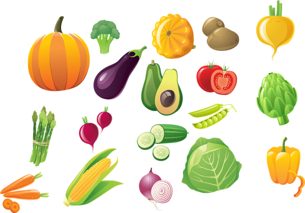 Векторные фрукты овощи