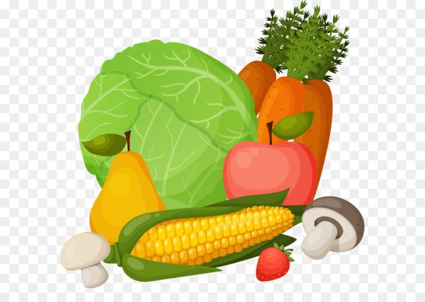 Векторные фрукты овощи