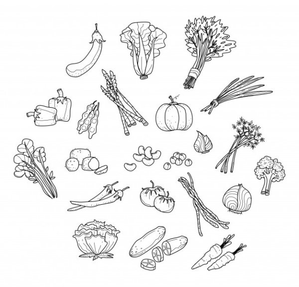 Фрукты и овощи очертания