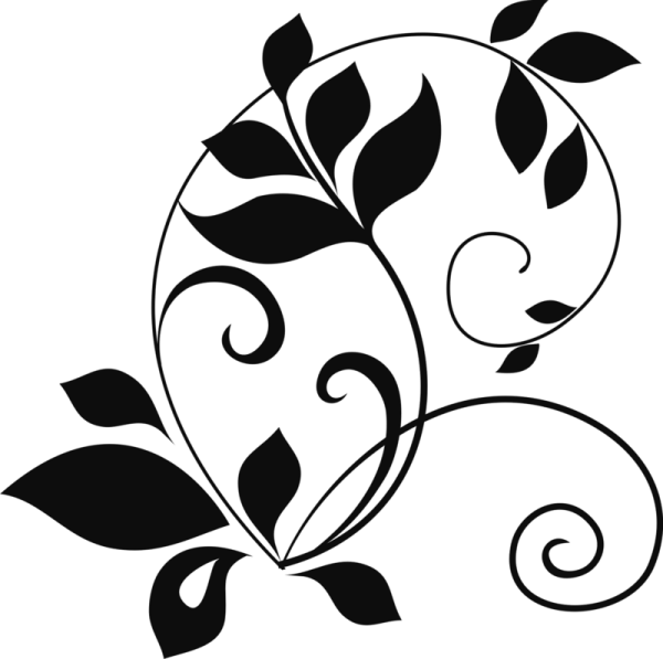 Растительный пергамент